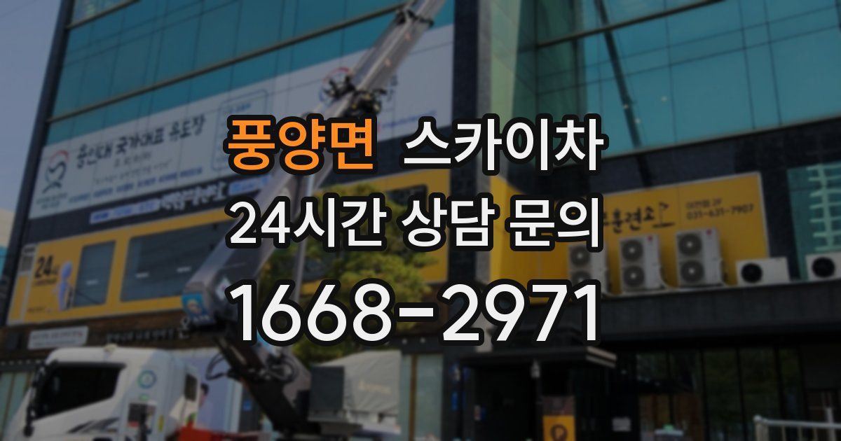 풍양면 스카이차