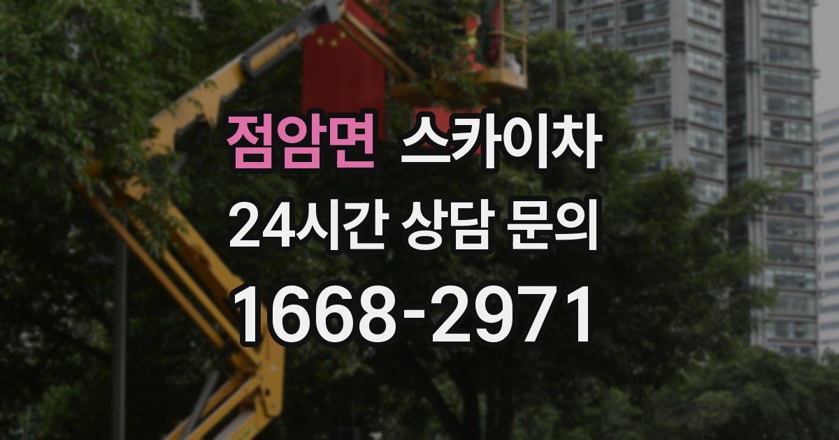점암면 스카이차