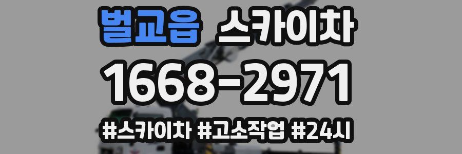 벌교읍 스카이차