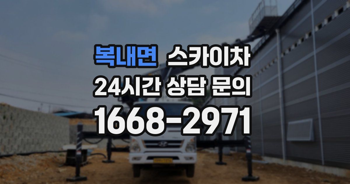 복내면 스카이차