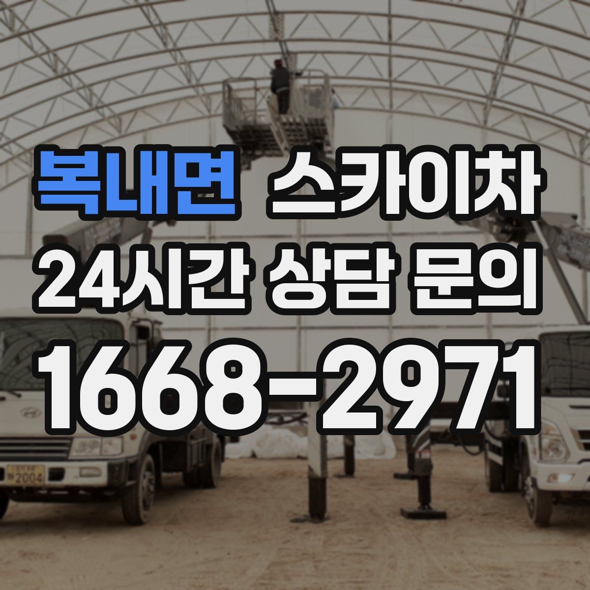 복내면 스카이차