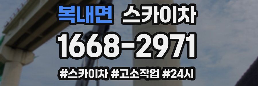 복내면 스카이차