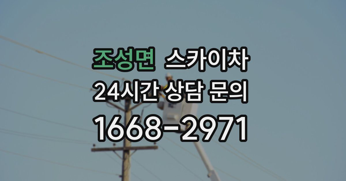 조성면 스카이차