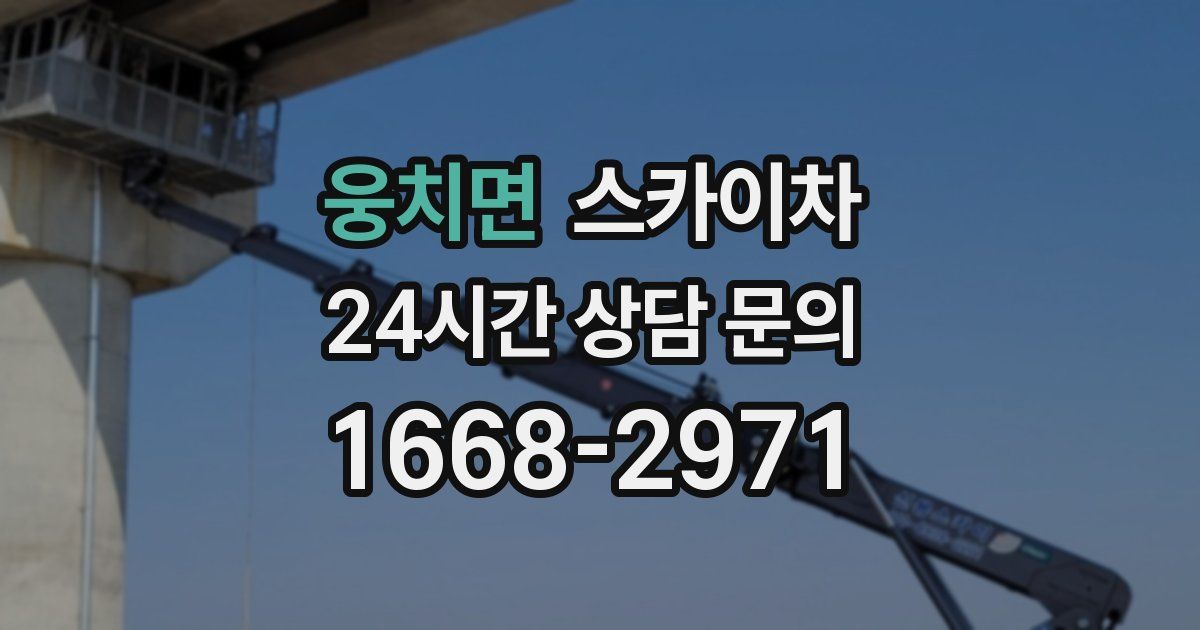 웅치면 스카이차