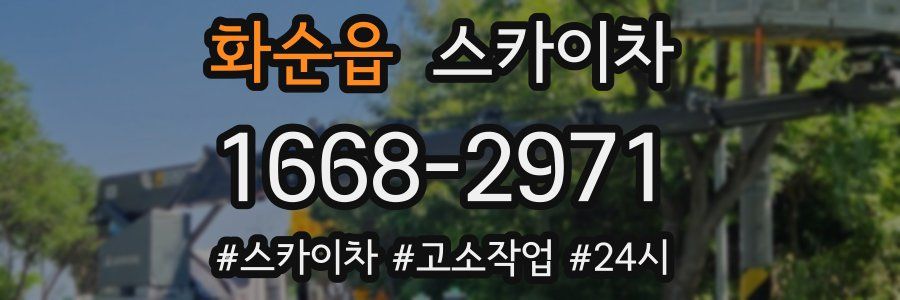 화순읍 스카이차