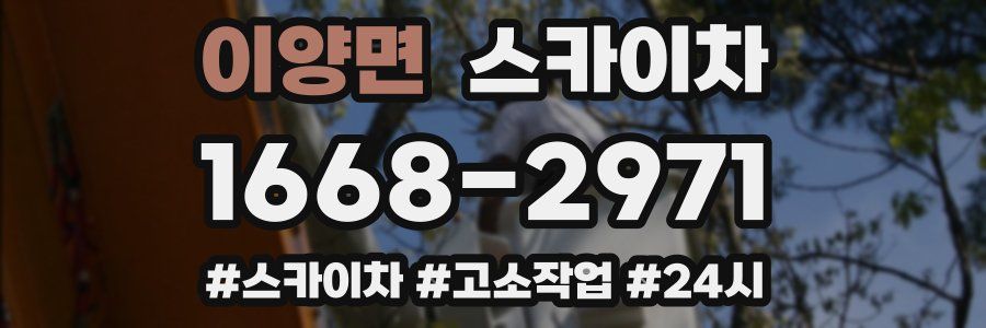 이양면 스카이차