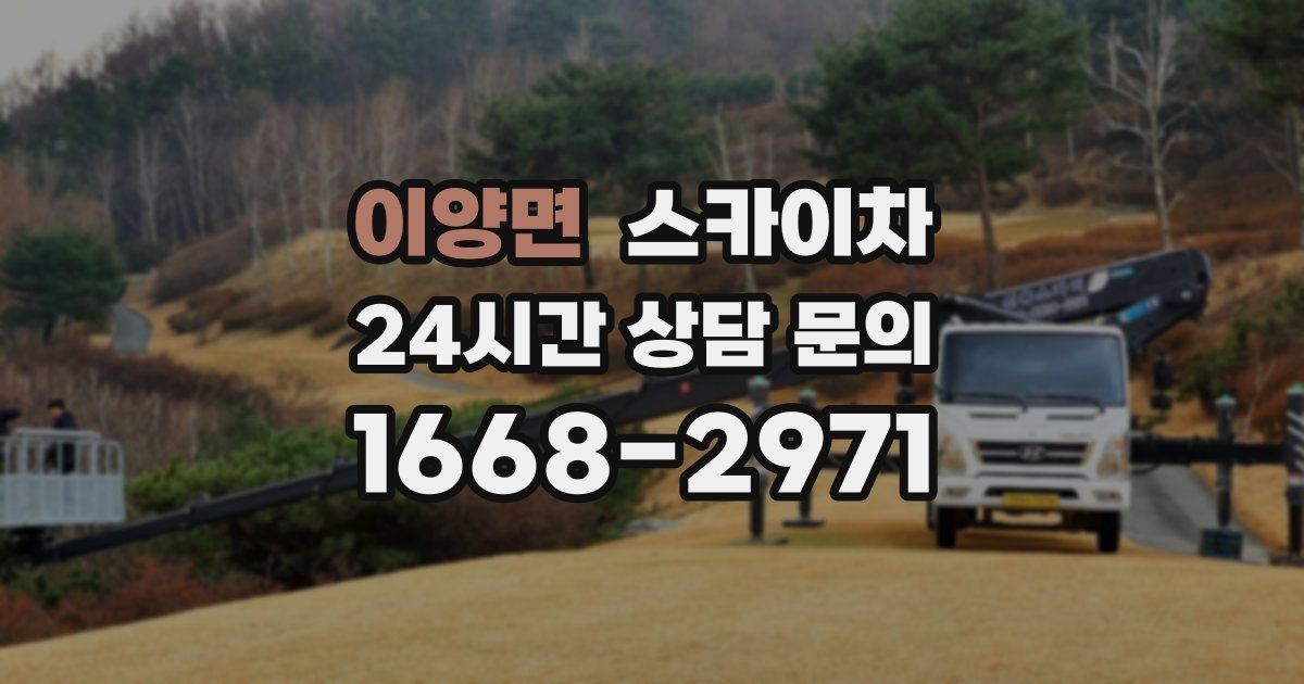 이양면 스카이차