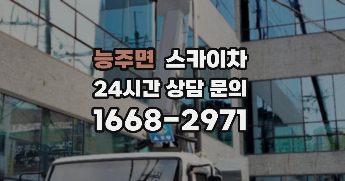 능주면 스카이차