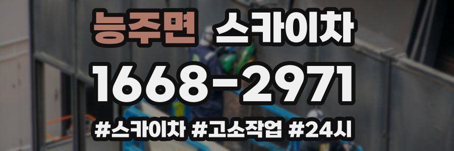 능주면 스카이차