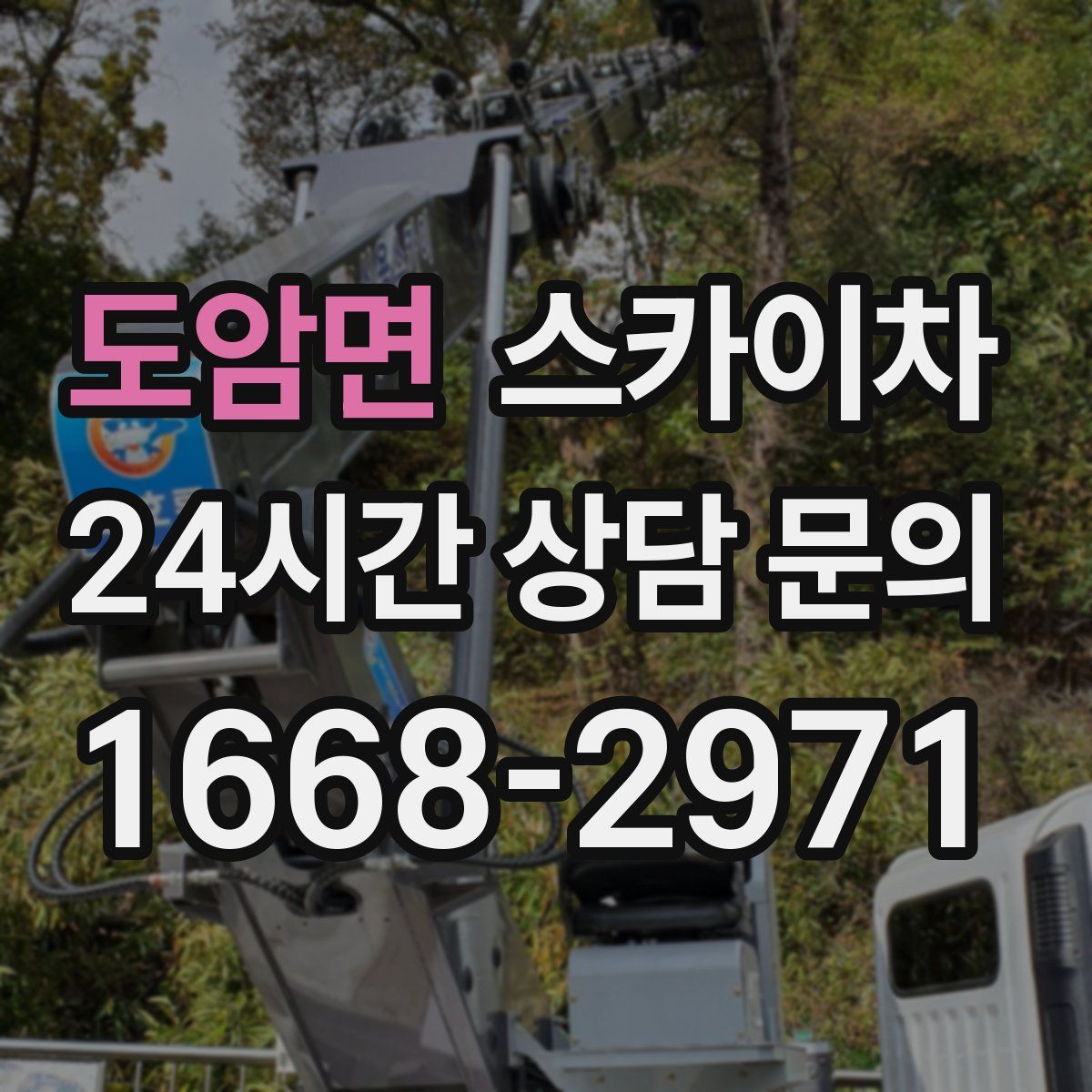 도암면 스카이차