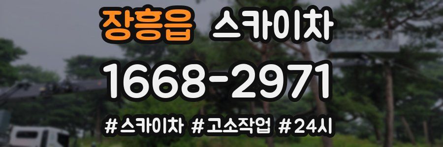 장흥읍 스카이차