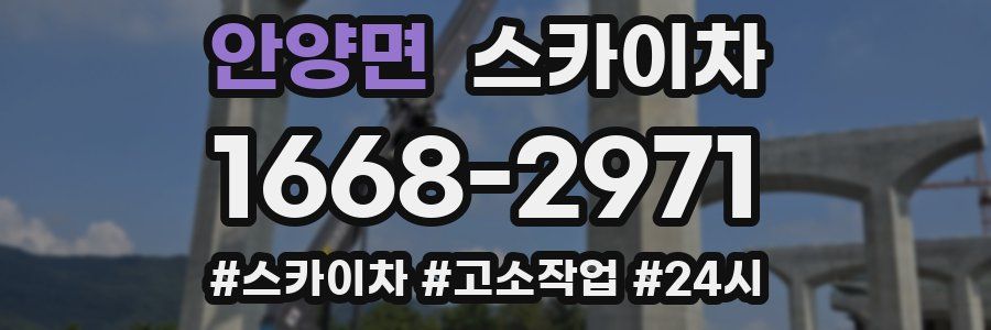 안양면 스카이차