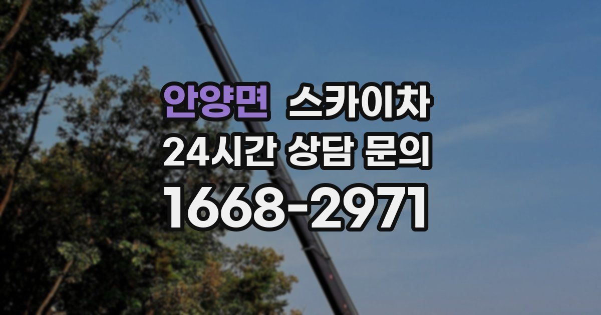 안양면 스카이차