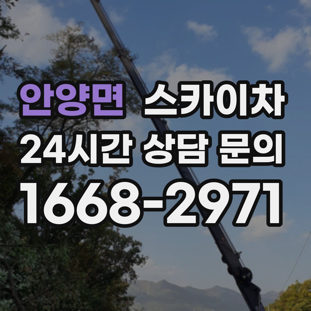 안양면 스카이차