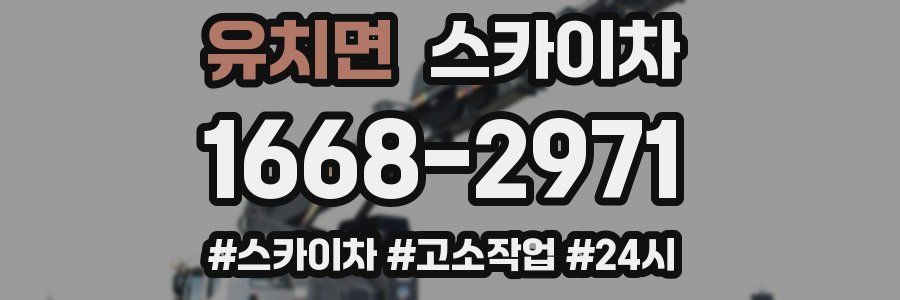 유치면 스카이차