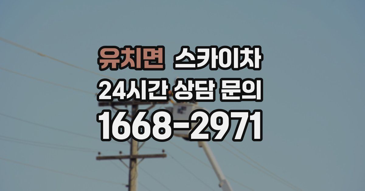 유치면 스카이차