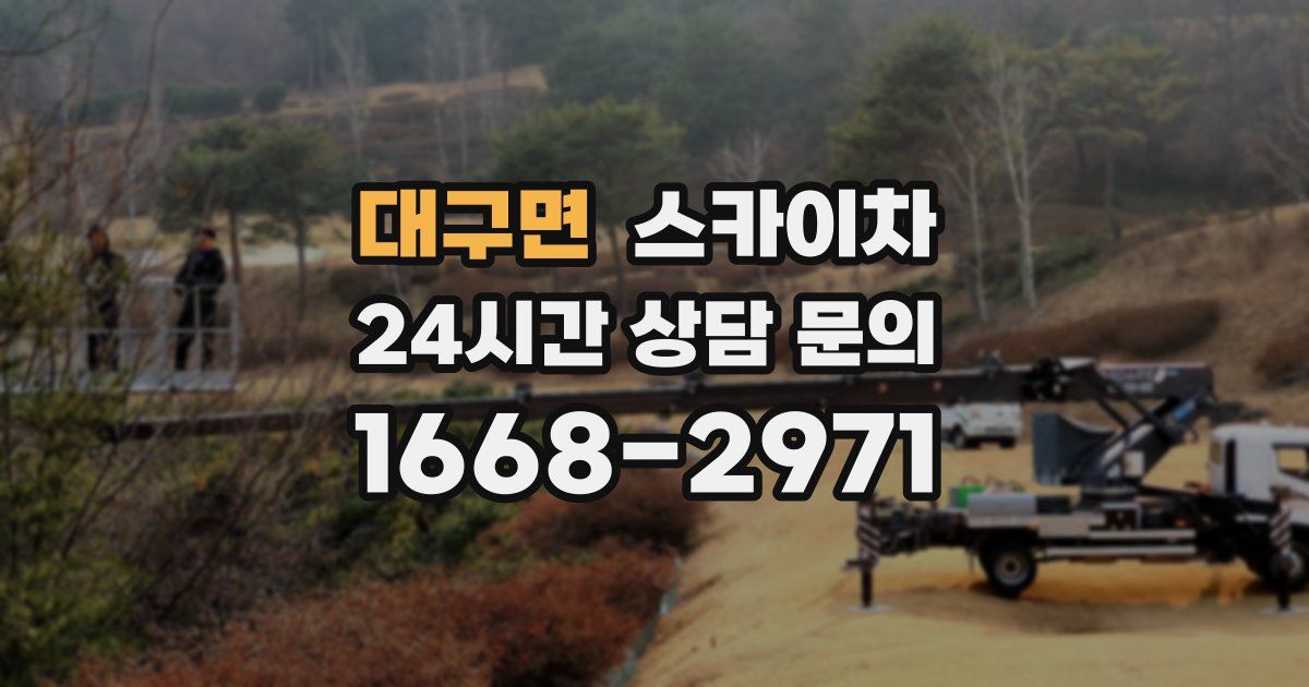 대구면 스카이차