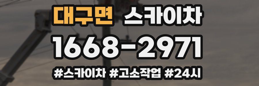 대구면 스카이차