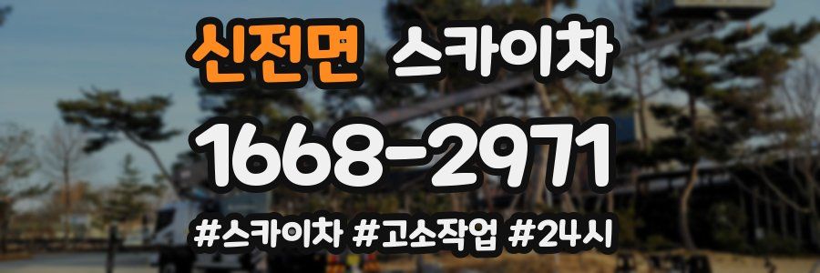 신전면 스카이차