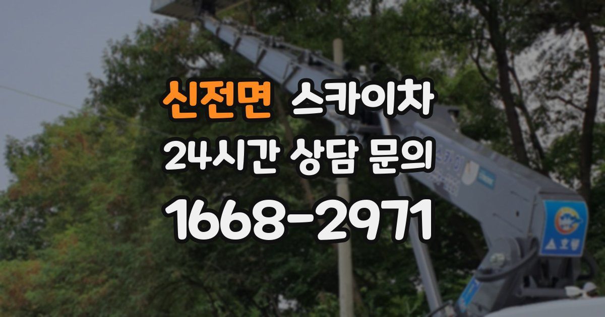 신전면 스카이차