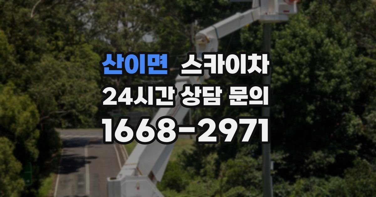산이면 스카이차