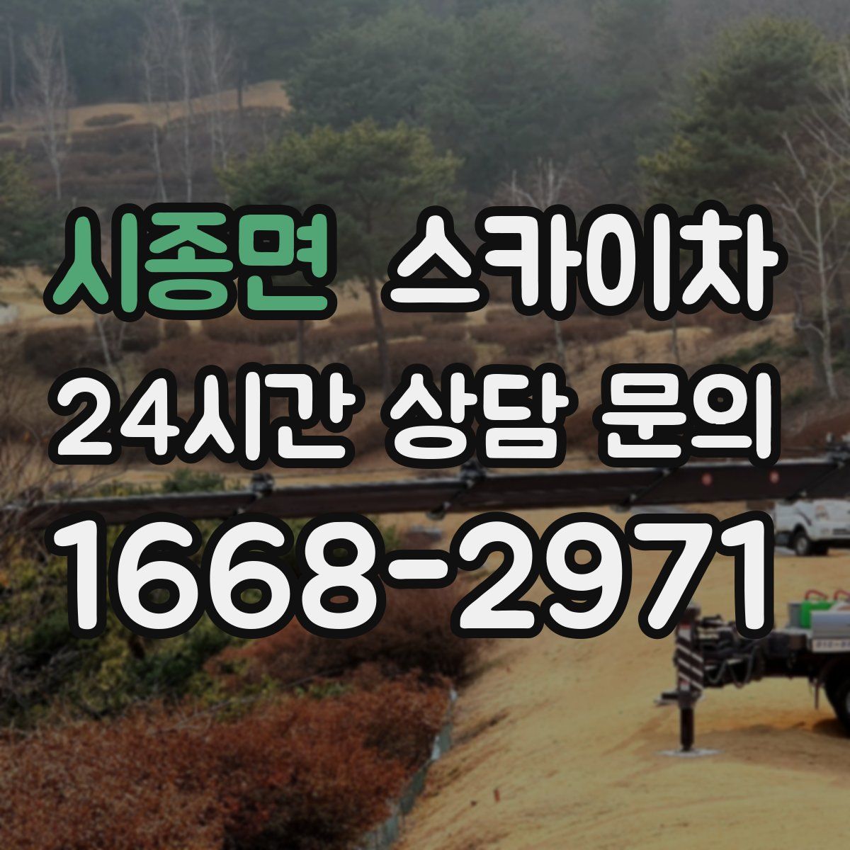 시종면 스카이차