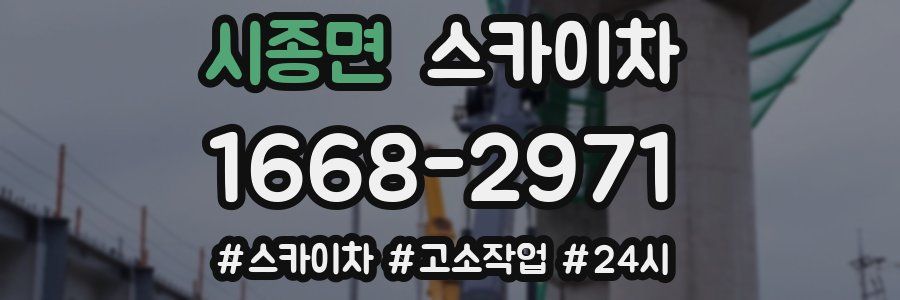 시종면 스카이차