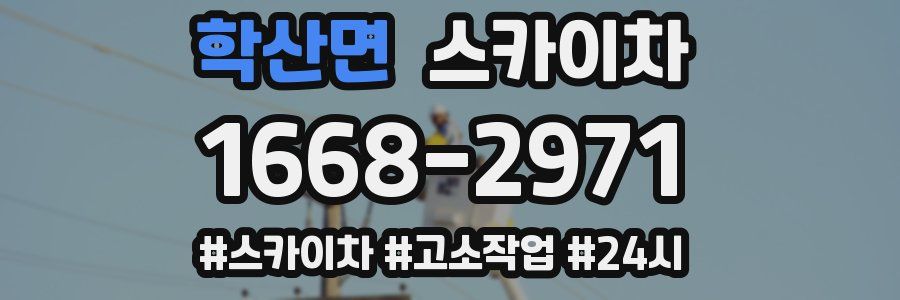 학산면 스카이차