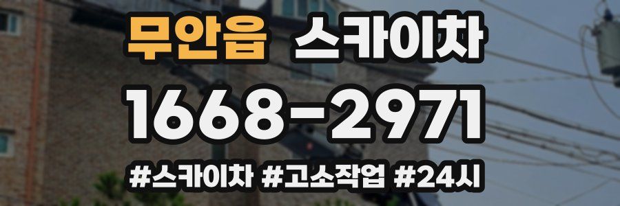 무안읍 스카이차