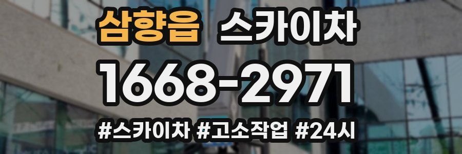 삼향읍 스카이차