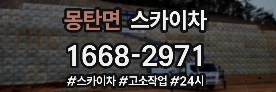 몽탄면 스카이차