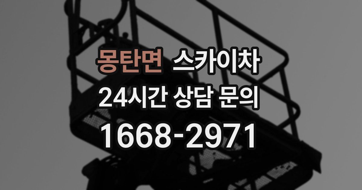 몽탄면 스카이차