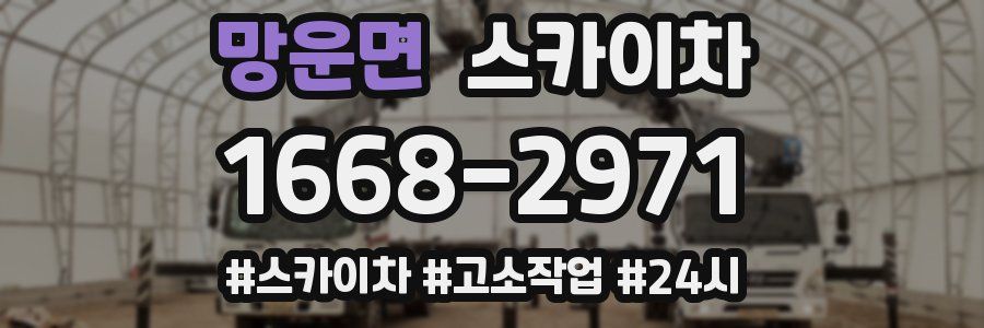 망운면 스카이차