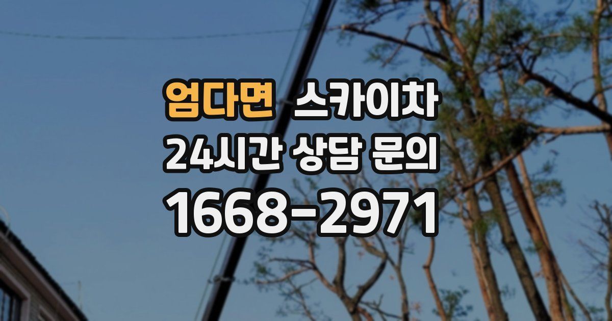 엄다면 스카이차