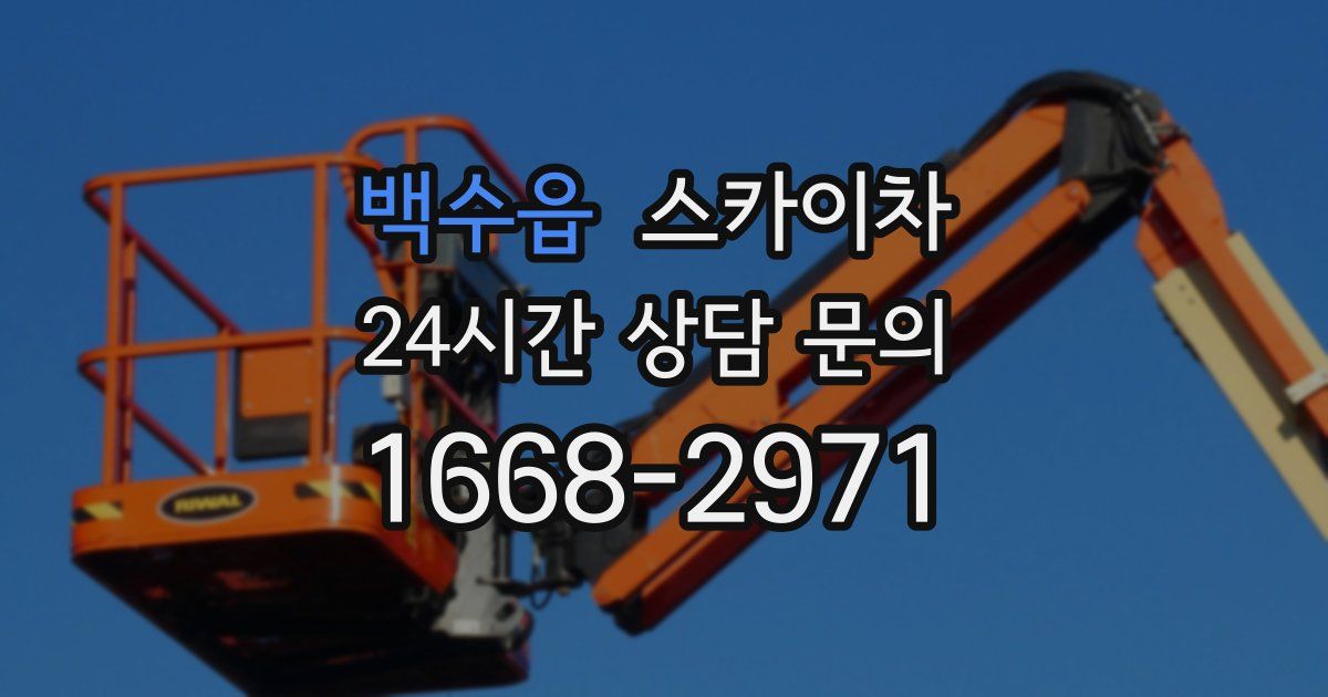 백수읍 스카이차