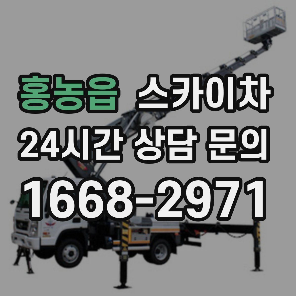 홍농읍 스카이차