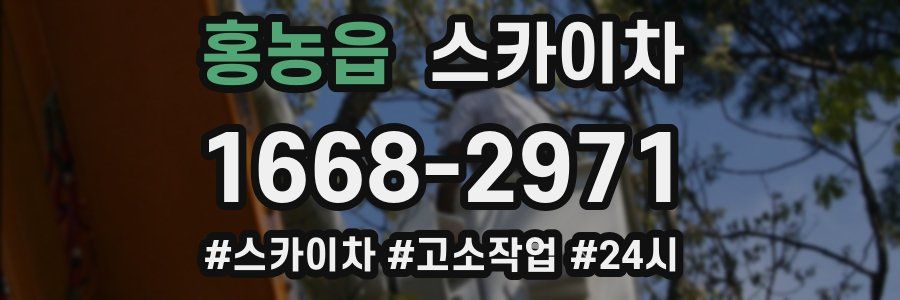 홍농읍 스카이차