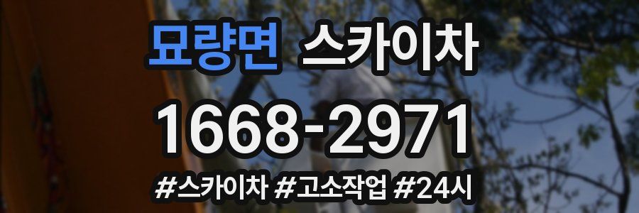 묘량면 스카이차