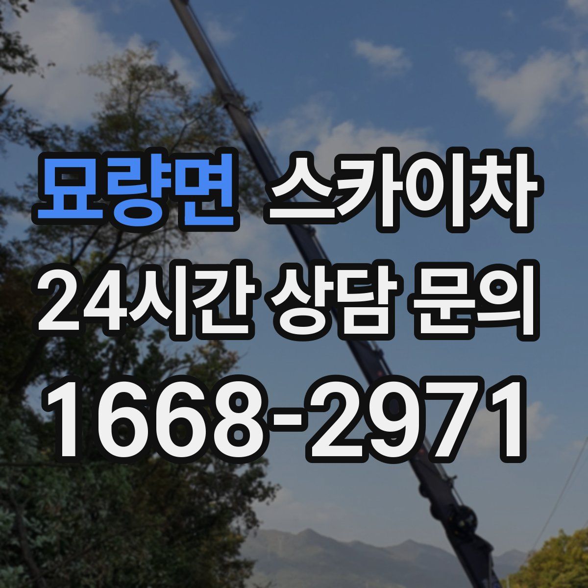 묘량면 스카이차