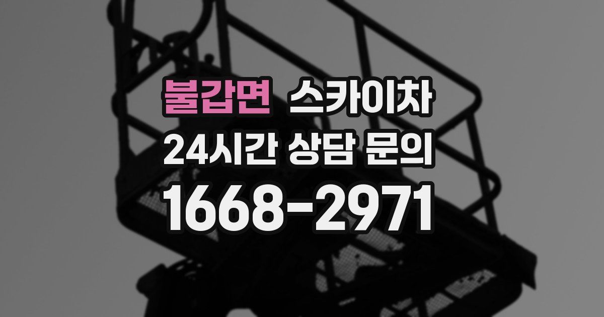 불갑면 스카이차