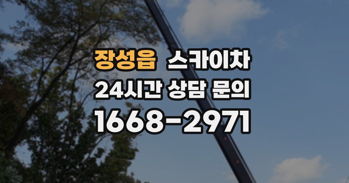 장성읍 스카이차