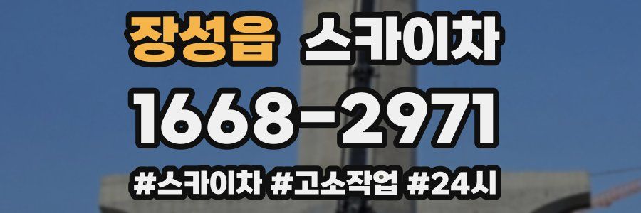 장성읍 스카이차