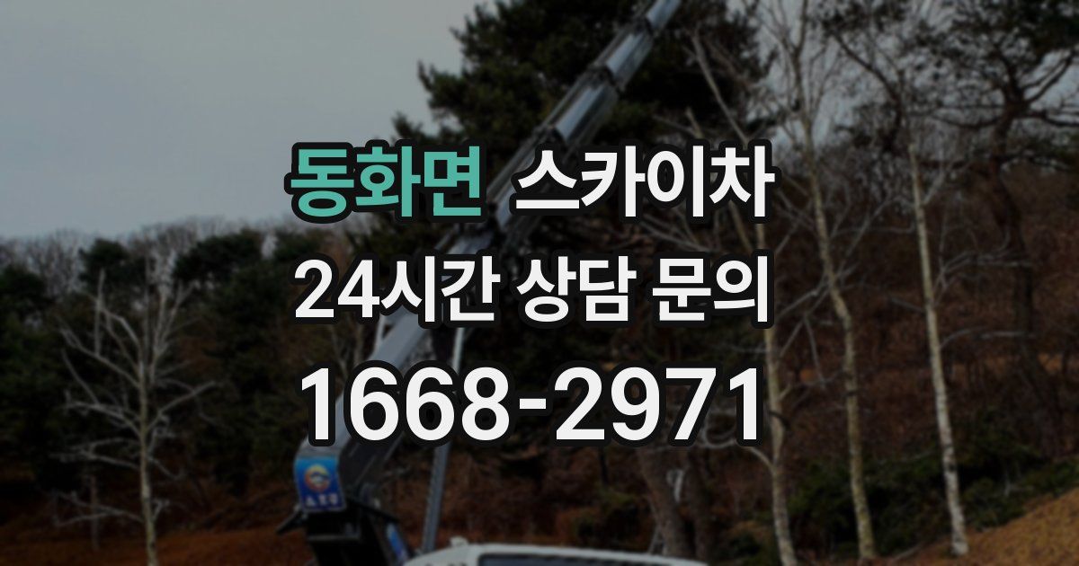 동화면 스카이차