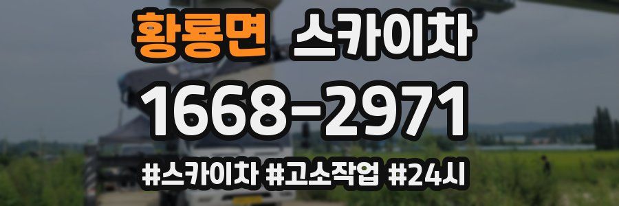 황룡면 스카이차