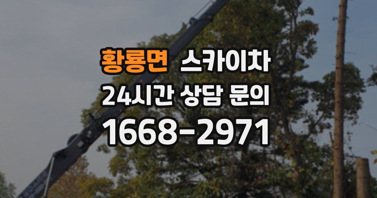 황룡면 스카이차