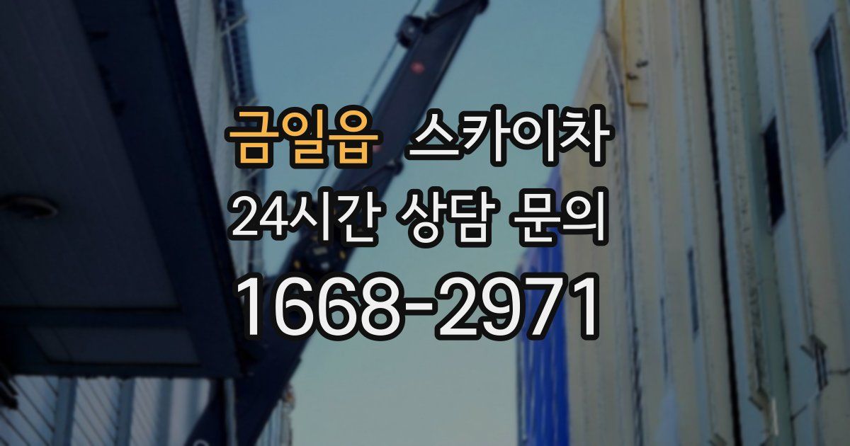 금일읍 스카이차