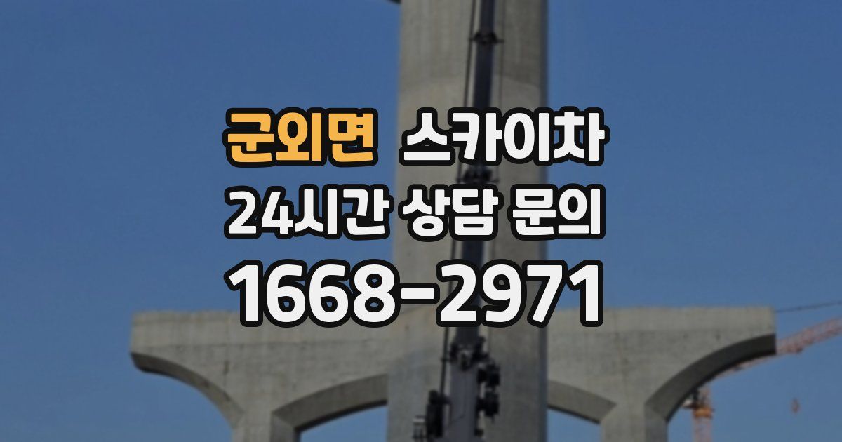 군외면 스카이차