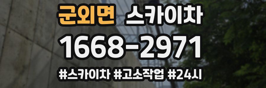 군외면 스카이차