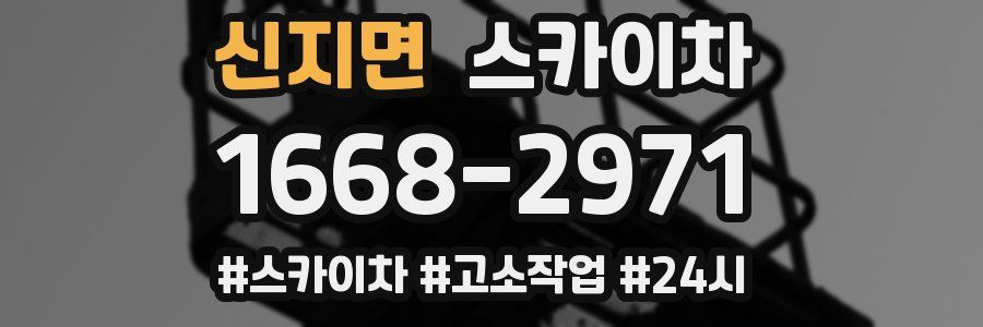 신지면 스카이차