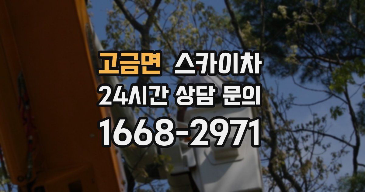 고금면 스카이차